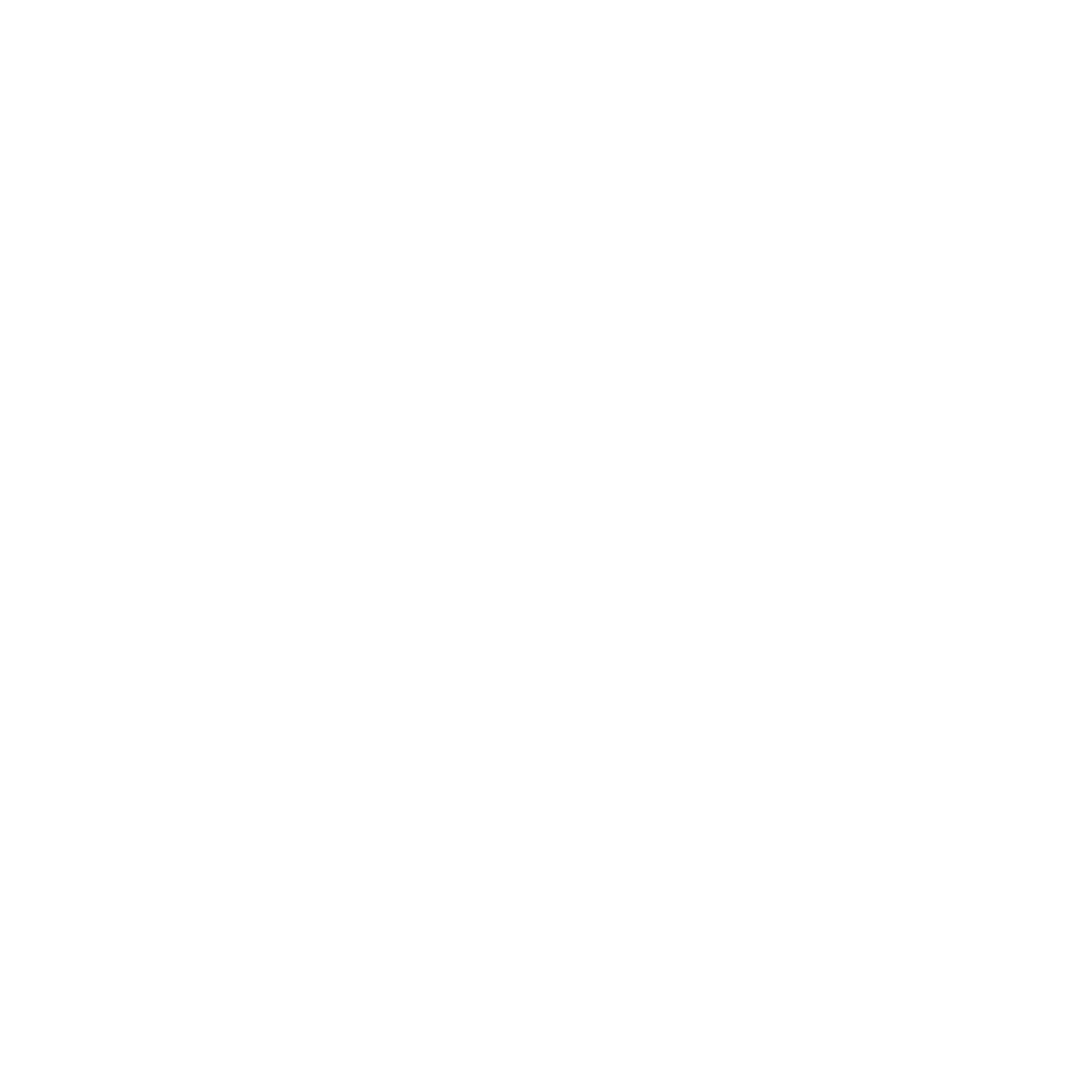 Waldhuter Enterprises logo